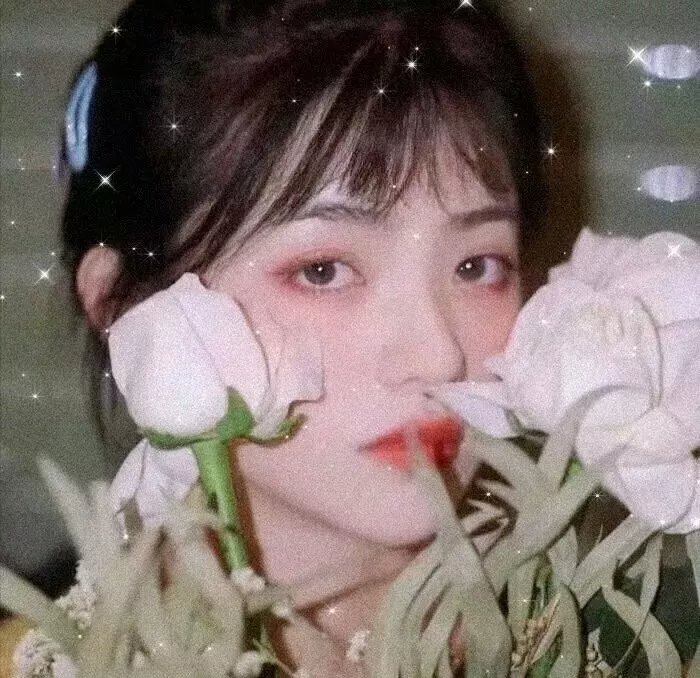梅花红桃