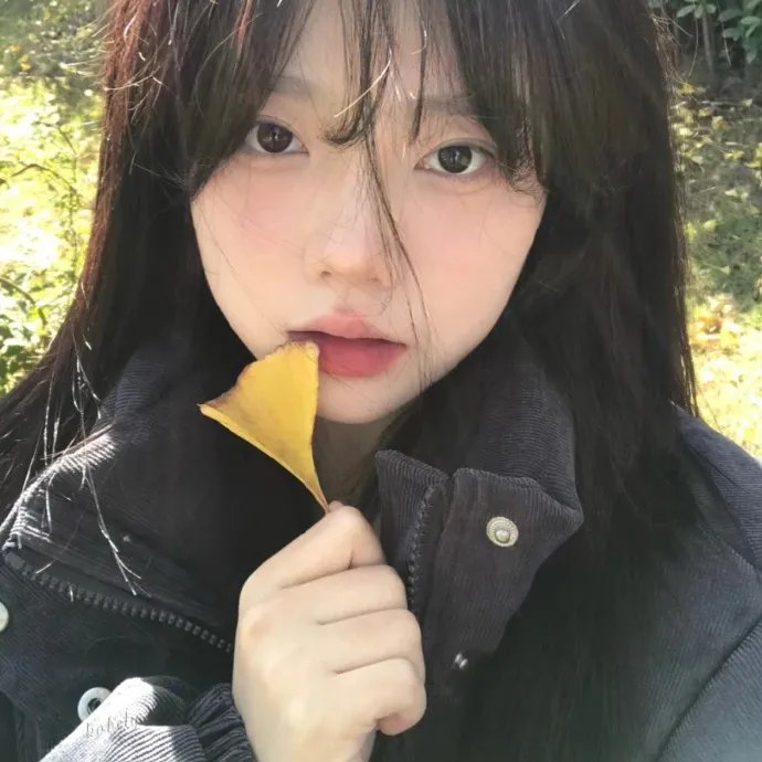 春满兰宫